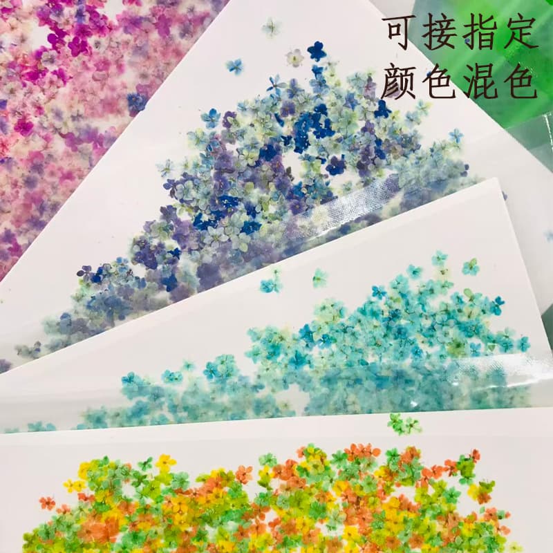 Cross-border Nail Art Dried Flowers Wholesale, Japanese Nail Art Dried Flowers Real Flowers, Ins Style Mini Dried Flowers Pressed Flowers Factory Direct