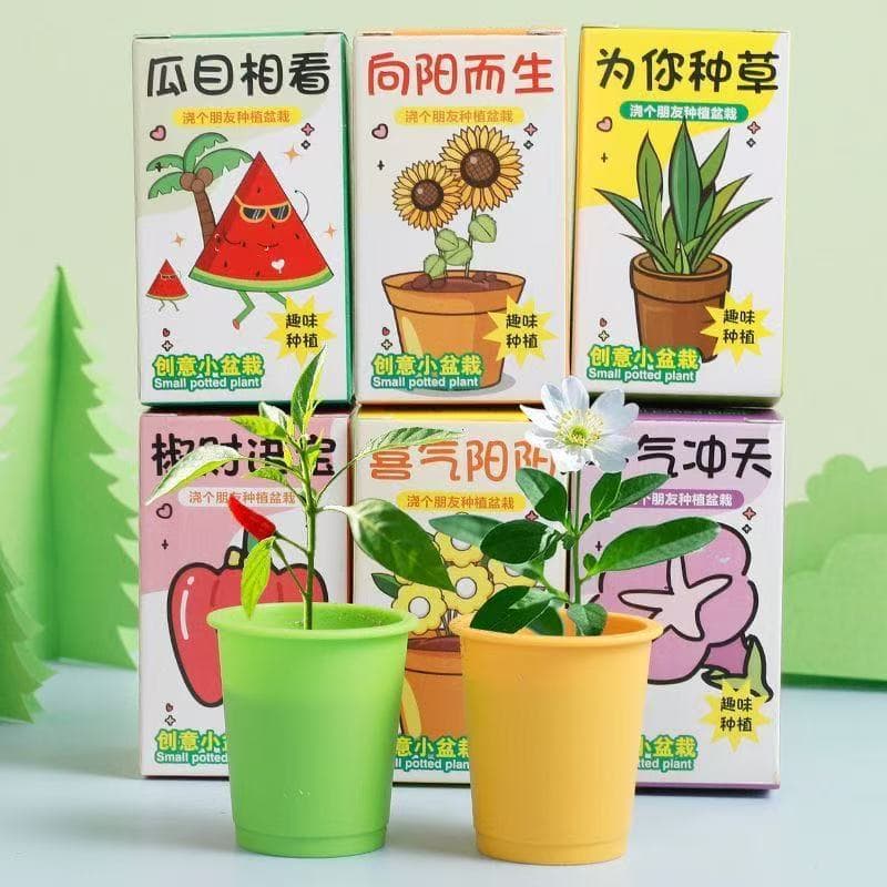 Plant Pot Display Box Style Small Gifts for Students and Children, Wholesale Educational Toys for Kindergarten
