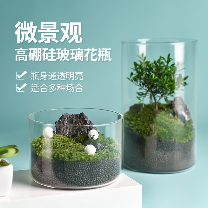 Ins Style Hydroponic Glass Vase Micro Landscape Ecological Jar Food-Grade Packaging Display Glass Bottle Wholesale