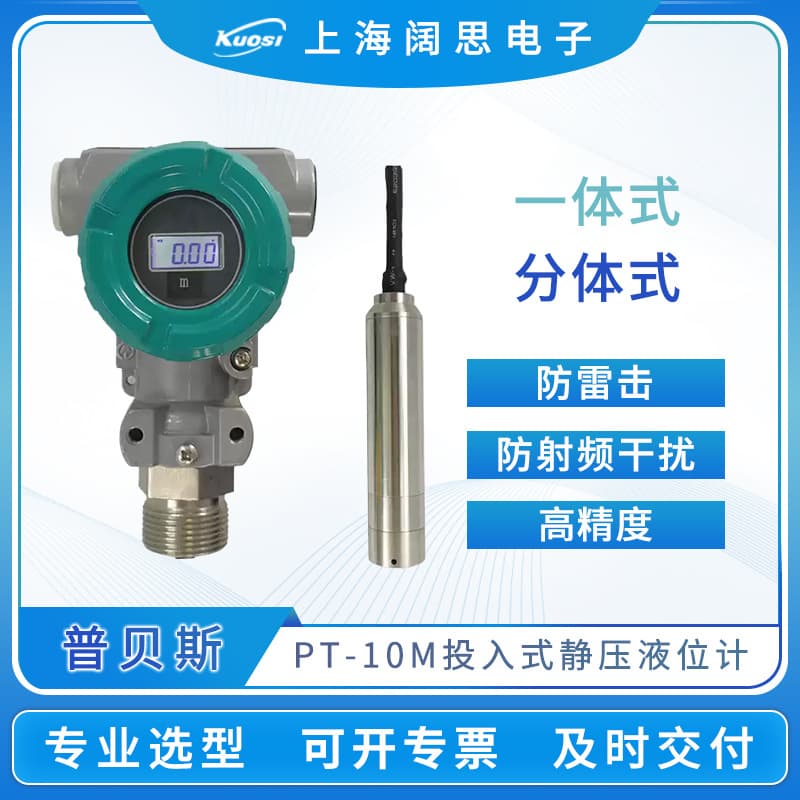 Pubais Level Transmitter PT-10M Submersible Hydrostatic Level Gauge Sensor 4~20mA/RS485 Output