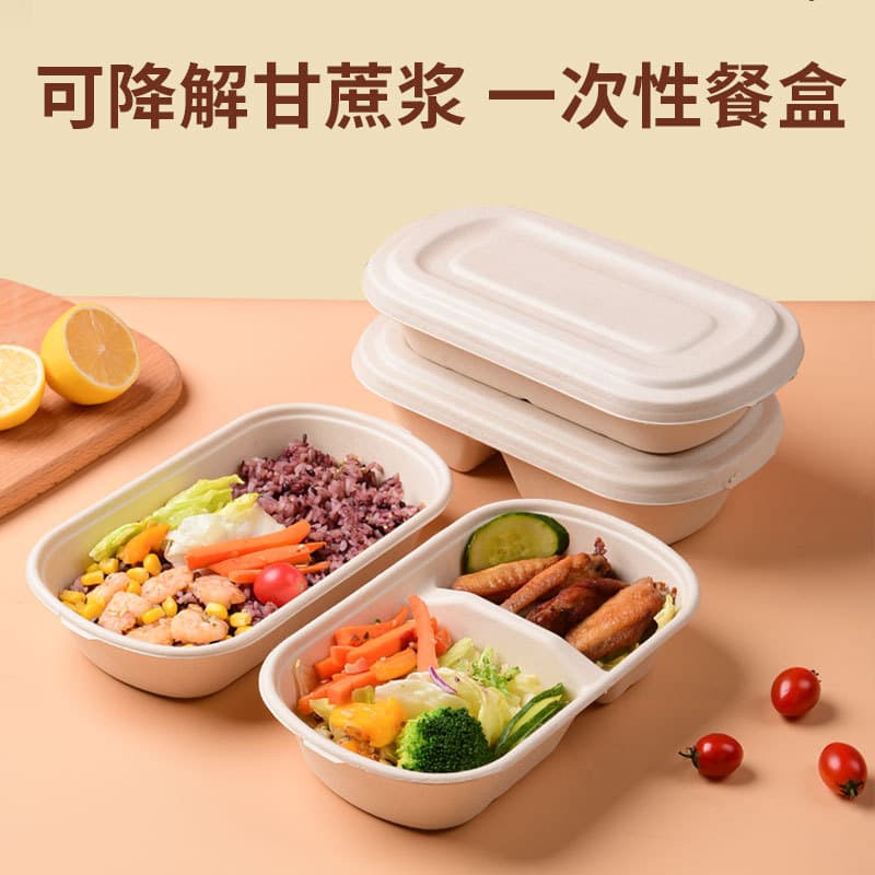 Disposable sugarcane pulp tableware, biodegradable square boxes, takeout picnic salad paper pulp lunch boxes, bento boxes