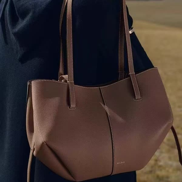 In Stock Cyme Wing Bag French Style Genuine Leather Tote Bag Niche Commuter Handbag Crossbody Women's Bag Dropshipping
