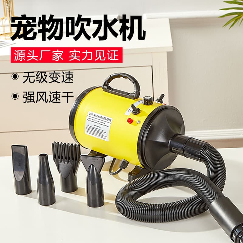 Factory Direct Pet Hair Dryer High Power Noise Reduction Dog Cat Blow Dryer Pet Supplies