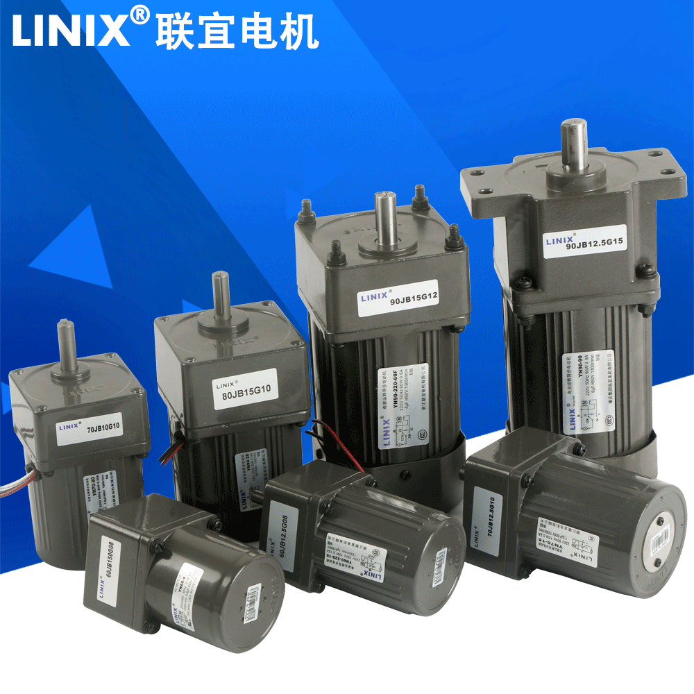 Slow Speed Small Micro Gear Reduction Motor 220V AC Induction Single-Phase Asynchronous Motor Manufacturer