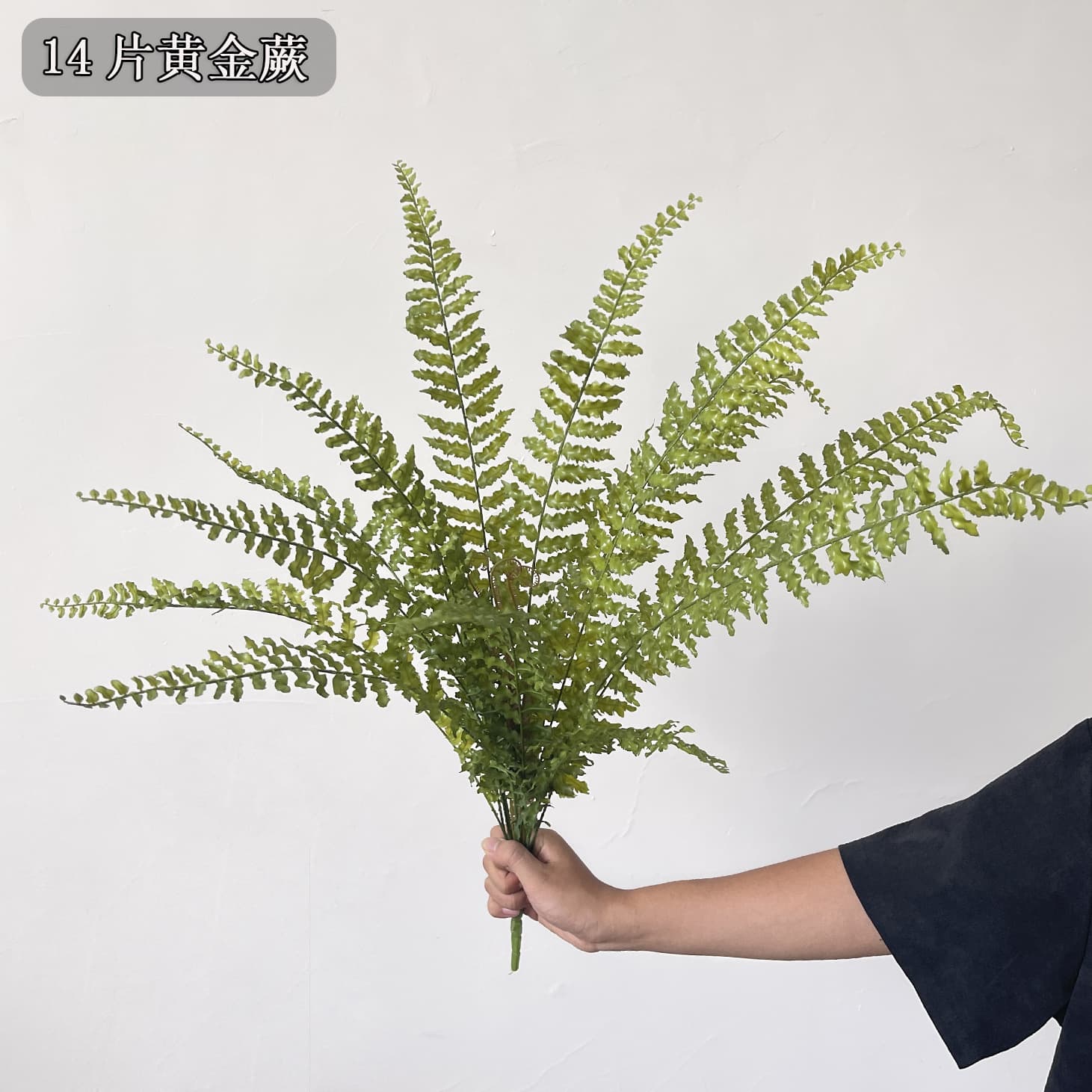 Factory Wholesale Artificial Plants: Various Fern Leaf Landscaping Decoration Popular Flower Arrangement Persian Foliage Greenery