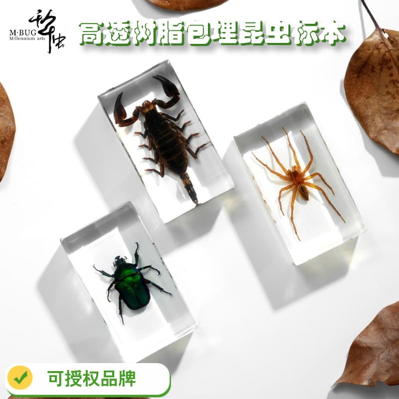 Creative Resin Insect Specimens 50+ Styles Transparent Cicada Spider Scorpion Golden Beetle Bumblebee Bookends Decorations