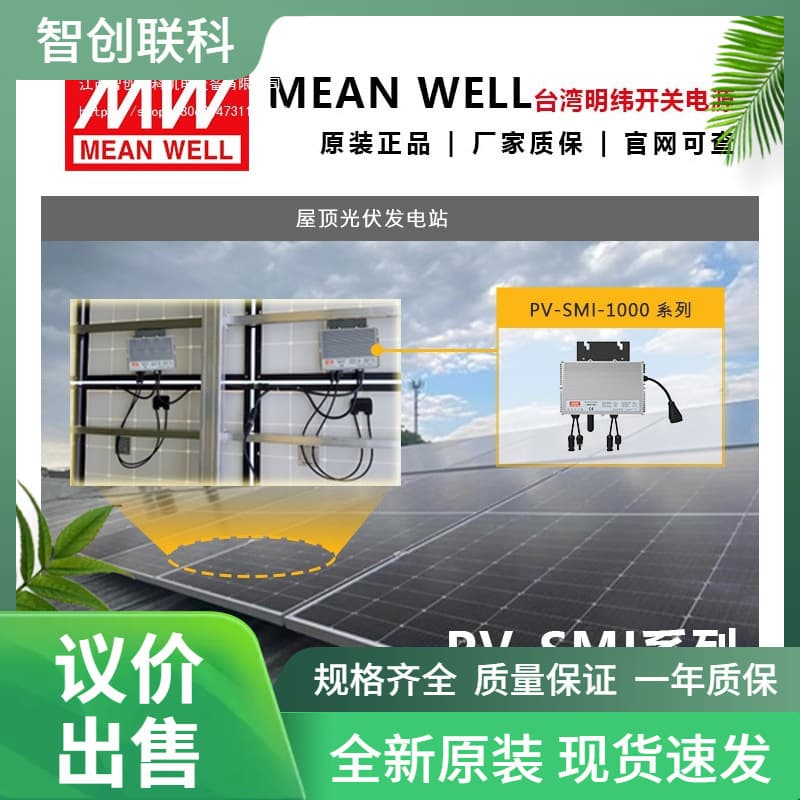 Meanwell Green Energy Micro Inverter Pure Sine Wave Output Built-in WiFi Communication PV-SMI-1000A
