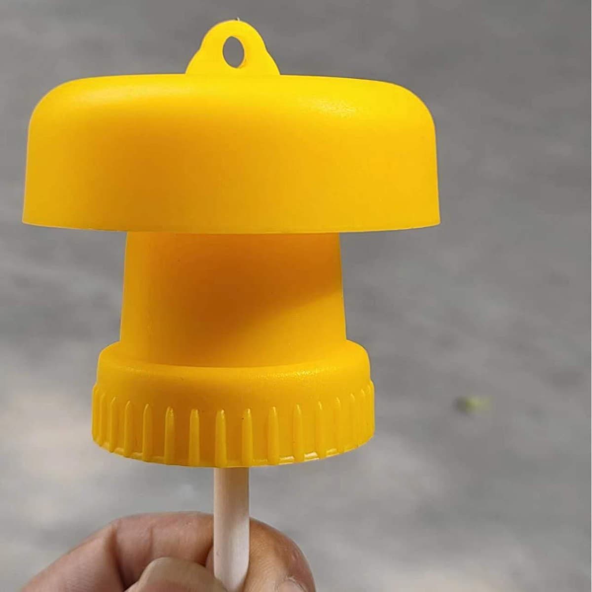 Fruit Fly Trap Melon Fruit Fly Needle Bee Catcher Attractant Liquid Golden Fly Fruit Tree Flying Insect Trap Insect Attraction Device