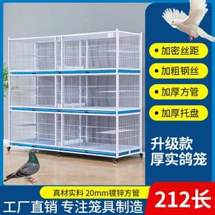 Encrypted Pigeon Cage Public Loft Observation Cage Pigeon Loft Breeding Cage Pairing Cage Large Space Pigeon Cage Public Loft Pigeon Cage Pigeon Loft Cage