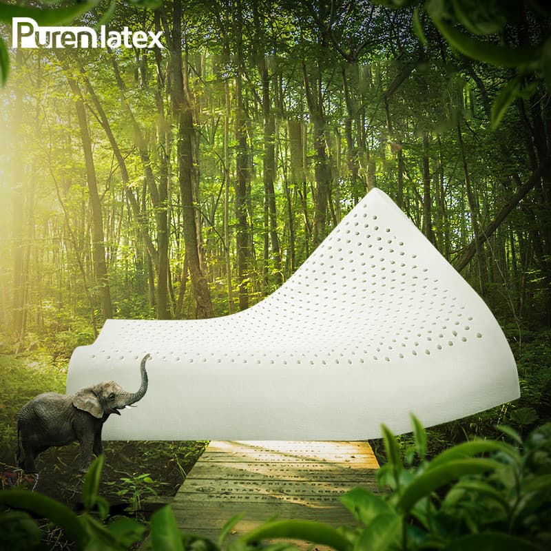 Thailand Natural Latex Pillow for Children 6-18 Years Old Student Pillow Rubber Pillow Core Sleep Pillow Latex Pillow One Piece Dropshipping