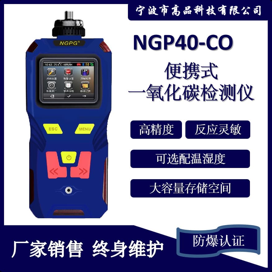 Portable Carbon Monoxide Detector Industrial Pump Suction Gas Alarm Oxygen Analyzer Methane Ammonia
