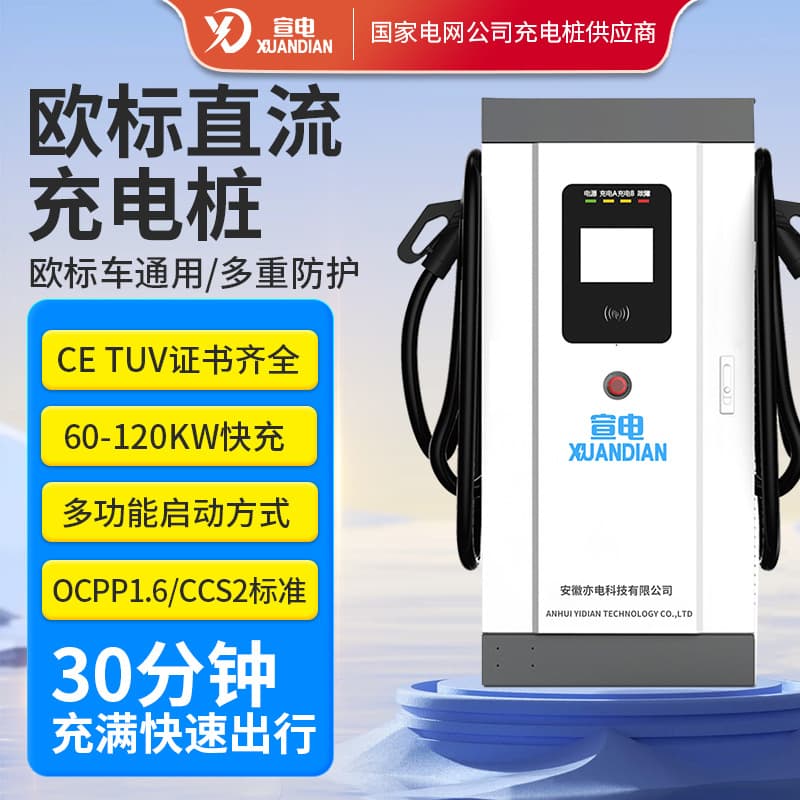 European Standard Charging Pile 60KW/80KW/120KW High-Power DC Fast Charger for Universal Electric Vehicles, Specialized for Foreign Trade