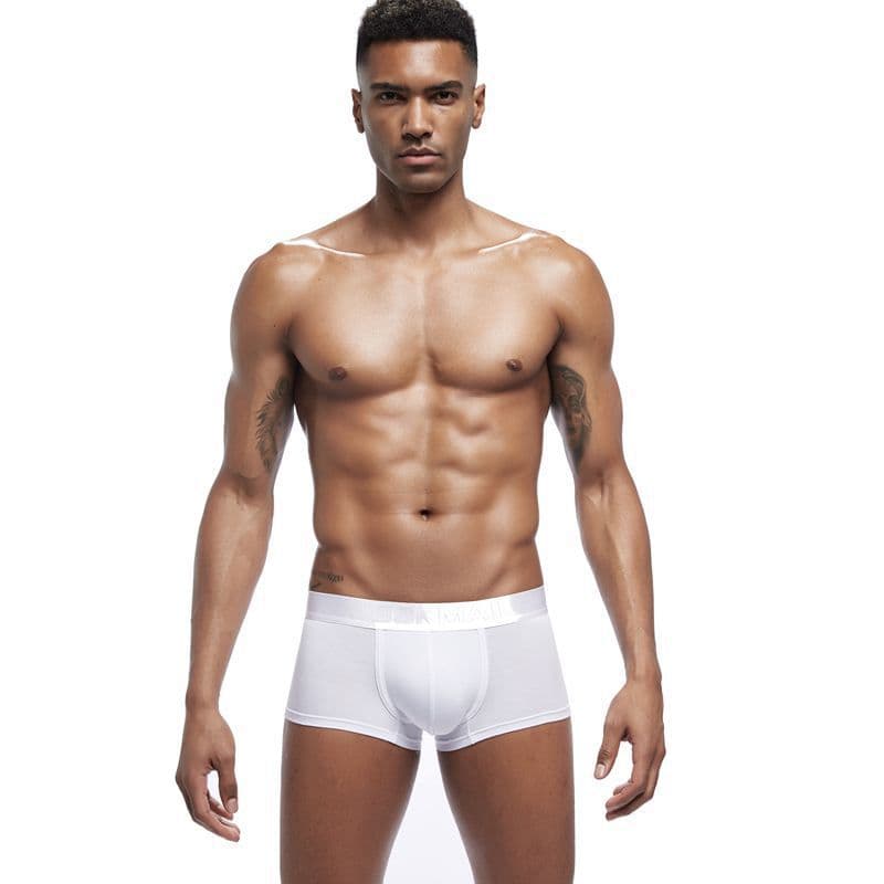 Low Waist Men's Boxer Shorts Breathable Modal Comfortable Briefs Underwear Youth Summer Fashionable Innerwear Briefs