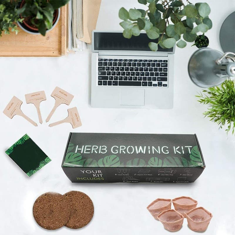 Cross-Border Indoor Herb Garden Tool Set, Kitchen Planting Starter Kit, Home Flower Pot Gift Box Wholesale
