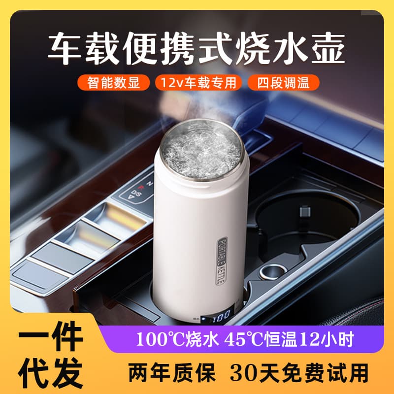 Car Water Cup Portable 12V Universal Water Kettle Mini Household Electric Cup Car Car Truck