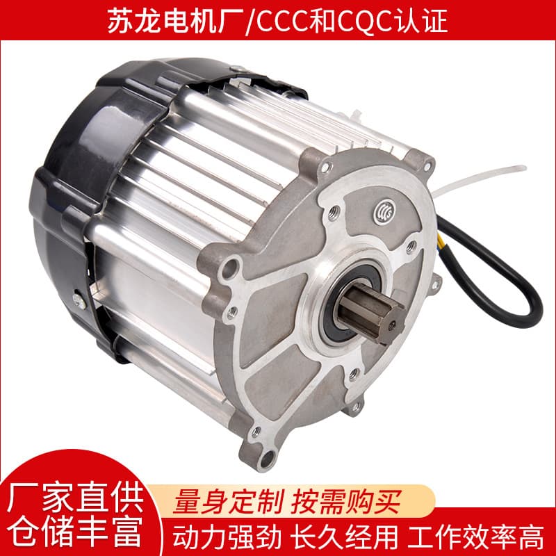 Factory Direct Brushless 120 Model Differential Electric Vehicle Battery Car DC Brushless Motor Copper Core Chain Motor