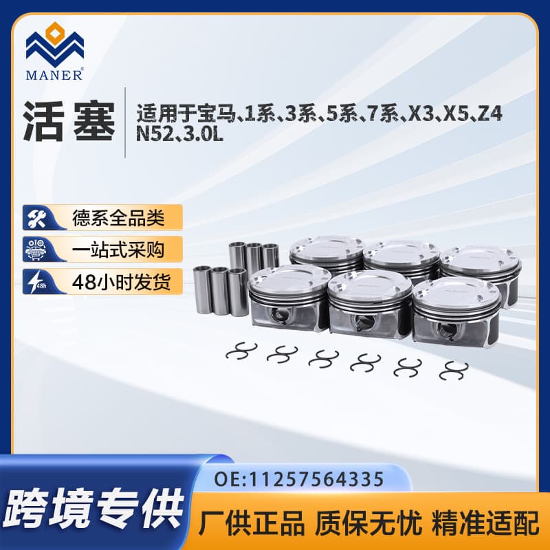 11257564335 Piston & Ring Kit Fit for BMW 125i 525i X3 X4