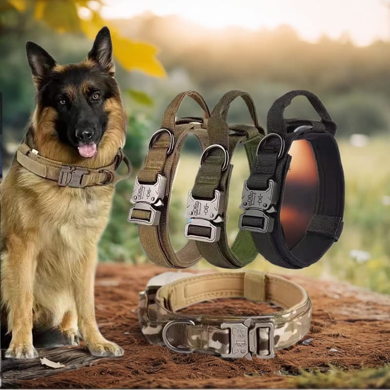 Amazon's Popular Tactical Collar for Medium and Large Dogs with Alloy Buckle and Double-Eye Design, Dog Collar, Dog Neckband, Chest Harness, and Leash