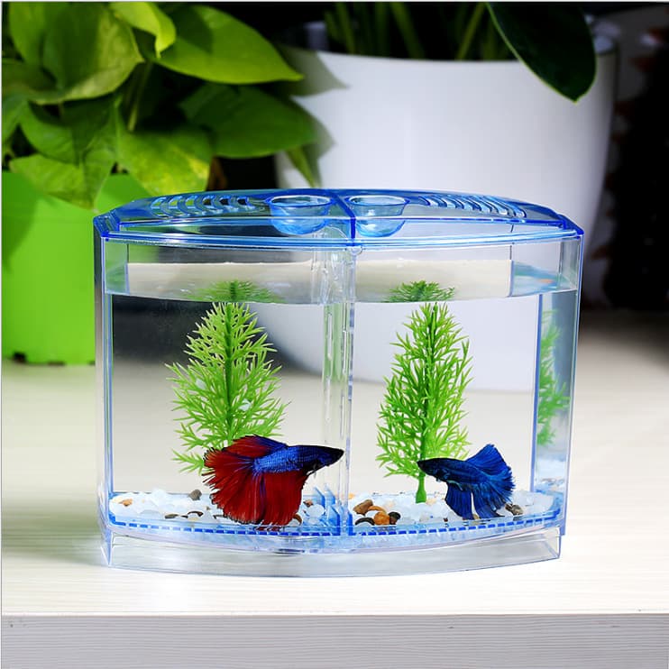 Douyu Isolation Box Acrylic Independent Breeding Multi-Functional Ornamental Fish Tank Outer Breeding Guppy Hatching Box