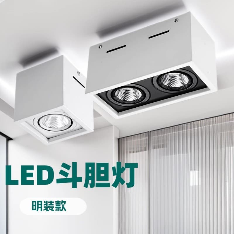 Surface-Mounted Commercial Spotlight: Recessed LED Double-Head Surface-Mounted Downlight, Single Home Use Grille, OB Square Lighting, Main Light-Free