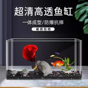 New Transparent Plastic Goldfish Tank, Acrylic Turtle Breeding Eco Tank for Home, Desktop, Office, and Living Room