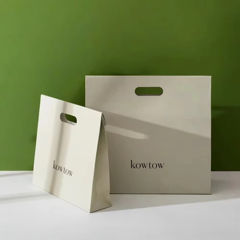 Printed Luxury Shopping Paper Bags Reusable Multi Color Party Favor Paper Bags with Handles