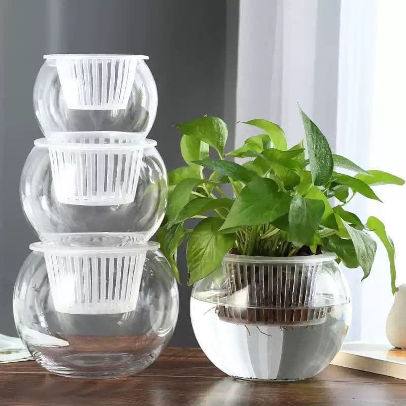 Plastic Vase Round Goldfish Bowl Turtle Tank Decoration Water Cultivation Eco Tank Micro Tank Flower Pot Green Plant Simple
