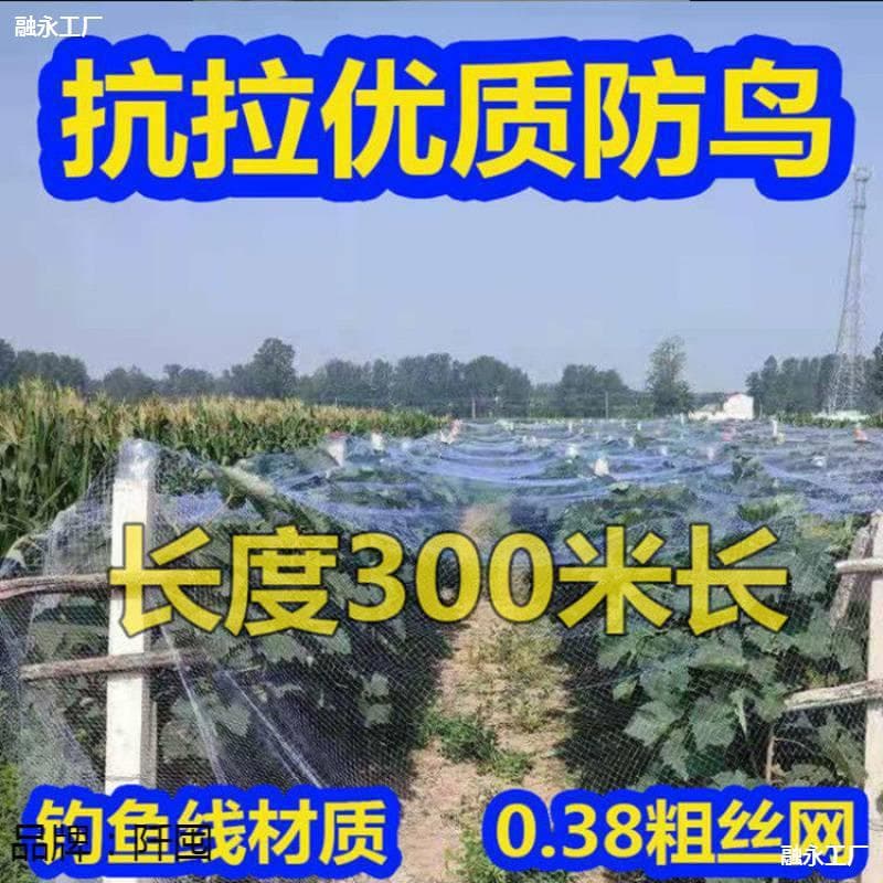 [Special anti-bird net] Orchard, fruit tree, vegetable garden, greenhouse, outdoor cherry and strawberry planting, fish pond, anti-bird net, sky net