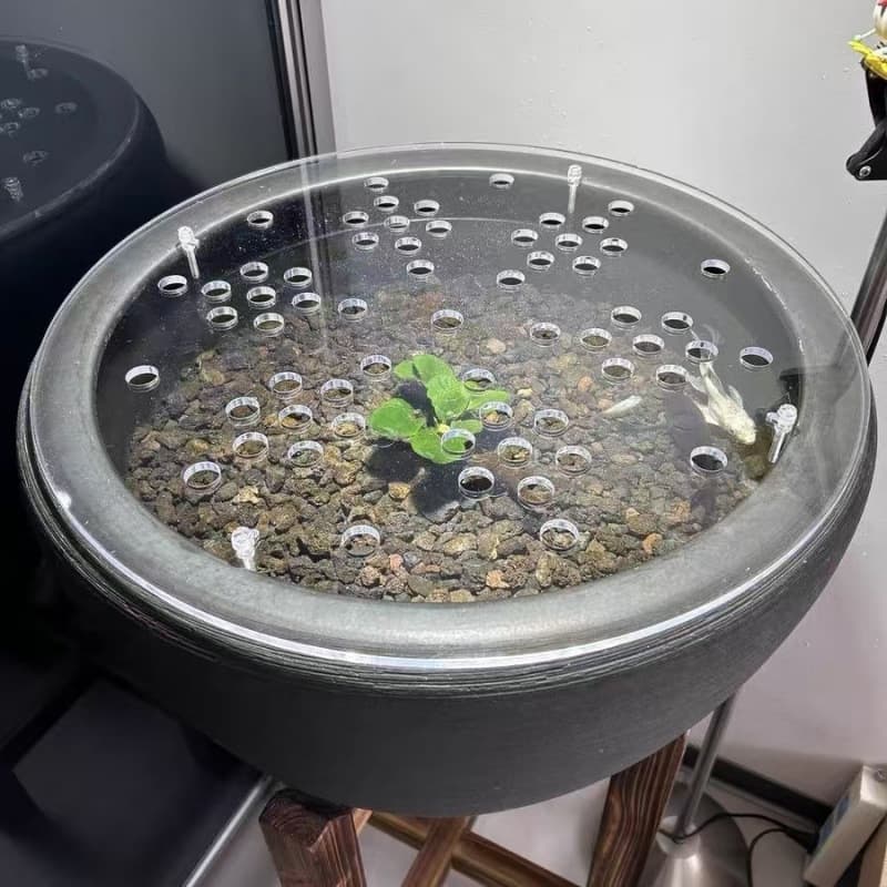 Round Aquarium Cover Plate, Transparent Cat-Proof Lid with Anti-Jump Net, Outdoor Fish Tank Splash Guard