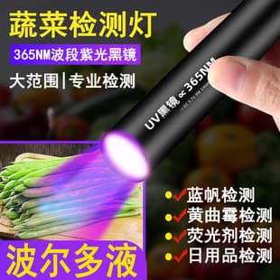 365UV Purple Light Flashlight for Vegetable Pesticide Residue Detection, Currency Verification, Anti-Counterfeiting, Nail Art, Jade, Wood's Lamp, and Cat Ringworm