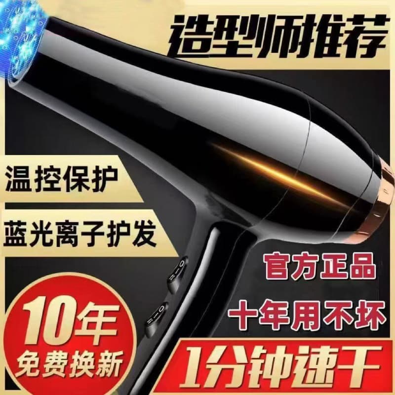 Hair Dryer Home Salon High Power Hairdresser Blue Light Negative Ion Hair Dryer Cold Hot Air No Damage Factory