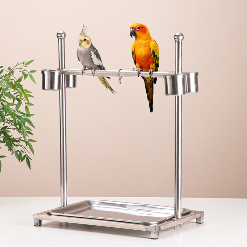 Cross-border Parrot Stand Stainless Steel Bird Perch for Budgie Cockatiel with Chain Ladder Nail Grinding Interactive Platform