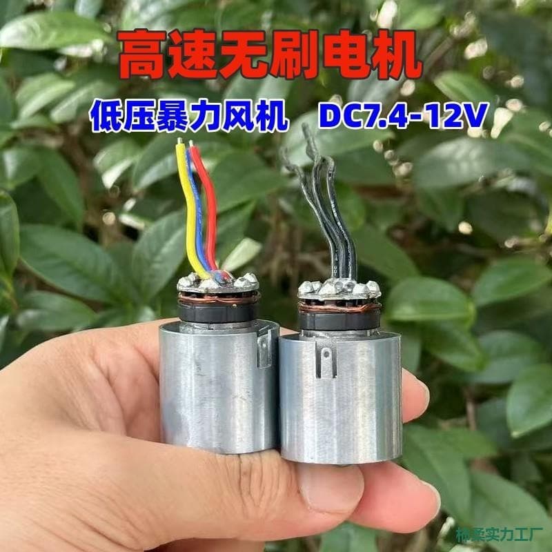 DC7.4-12V Low Voltage High Speed Brushless Ducted Fan for Vacuum Cleaner DIY Handheld Fan Motor