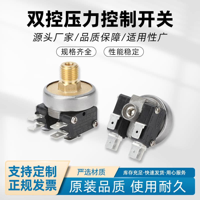 Dual Control Pressure Switch Bipolar Controller Dual Micro Switch Pressure Gauge for Constant Temperature and Humidity Chamber