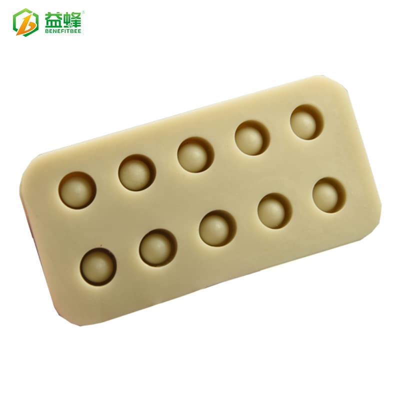 Double Row Queen Cup Silicone Mold Queen Rearing Tool Queen Cup Beekeeping Tool