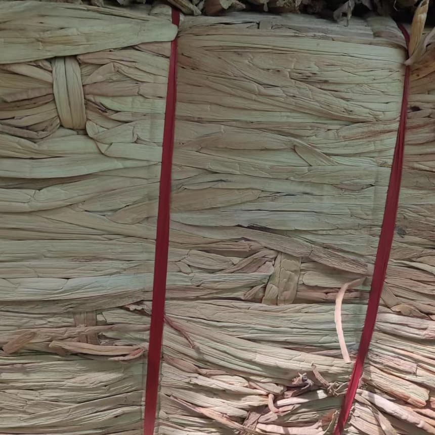 Water hyacinth water hyacinth grass natural plant raw materials weaving crafts raw materials handmade diy grass rope raw materials