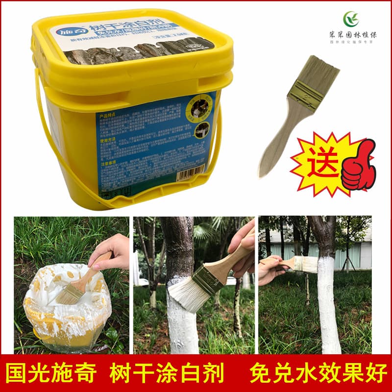 Guoguang Shiqi trunk whitewash powder or paste for deadwood whitening, frost and pest prevention, direct application without dilution.