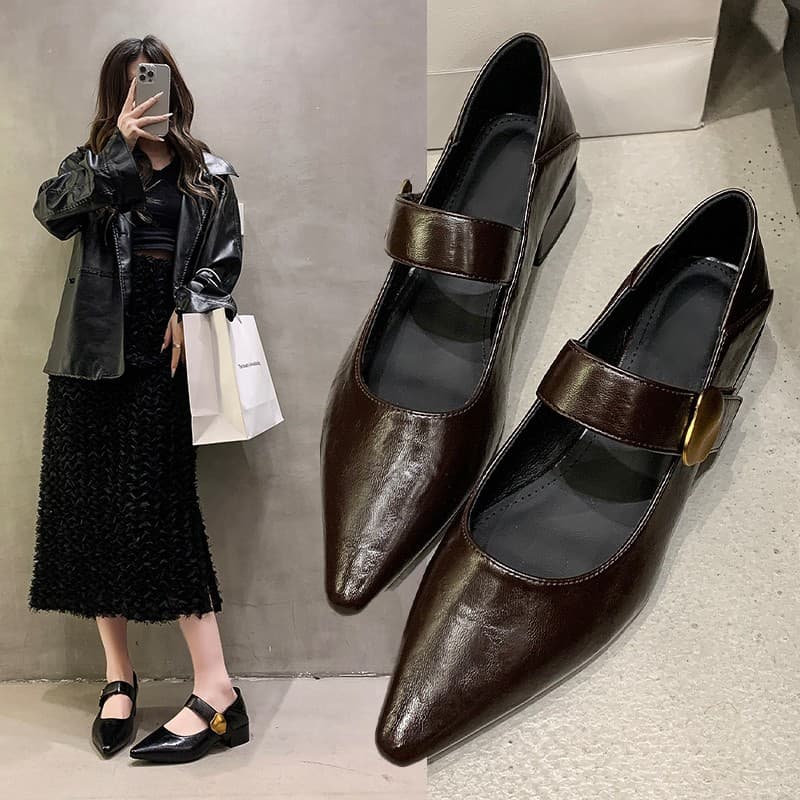 2026 Autumn Pointed Toe Vintage Mary Jane Shoes for Women Chunky Heel Shallow Mouth Flats Mid Heel Leather Shoes British Casual Flats