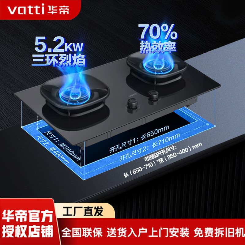 Vatti Gas Stove [Energy-Saving Master] Natural Gas Built-in Desktop Dual Burner 5.2kW I10309