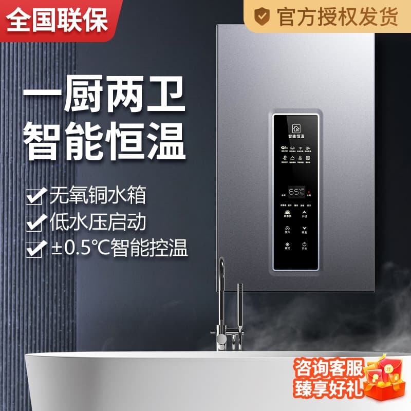 Zero Cold Water Natural Gas Water Heater, Electric Household LPG Balanced Constant Temperature Gas Model for Showering 16L