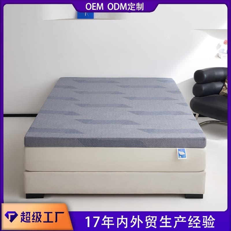 220g-450g mattress cover sponge gel cushion cover tatami rental mattress Amazon cross-border