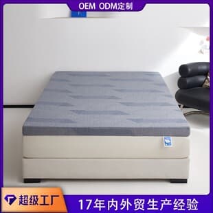 220g-450g Mattress Cover Sponge Gel Pad Tatami Rental Bed Mattress Topper Amazon Cross-Border