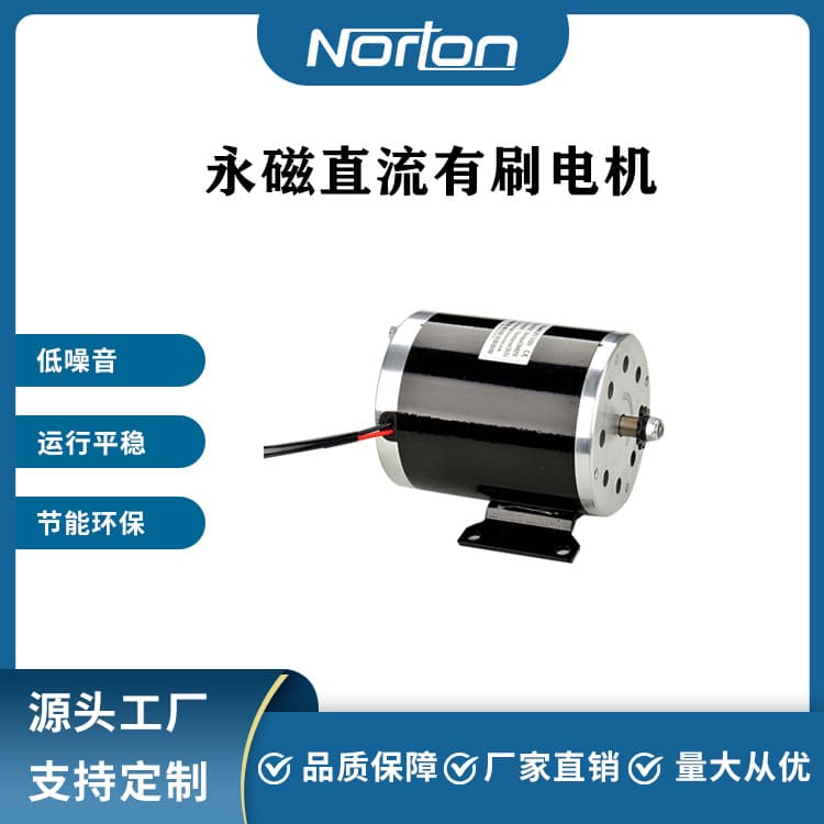 ZY1020-1000W48V 25H 11-Tooth Sprocket Brushed DC Motor Scooter Motor