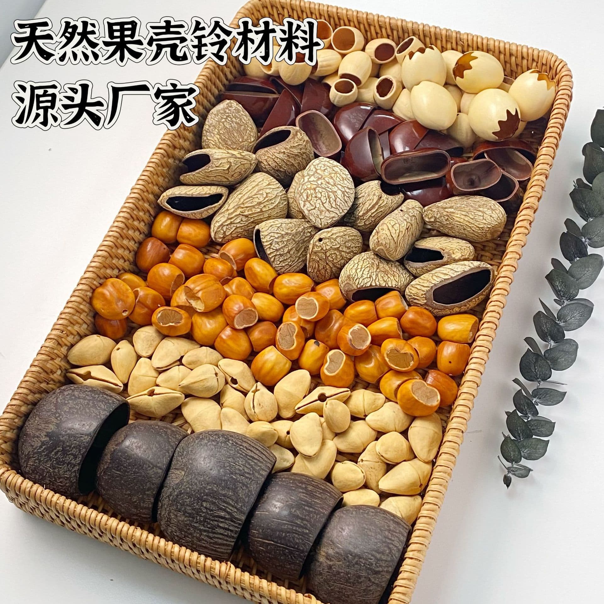 Shell Bell Materials and Pendant DIY Kit for Salon Activities, Polished Small Water Lingtong Shells and Black Fruits
