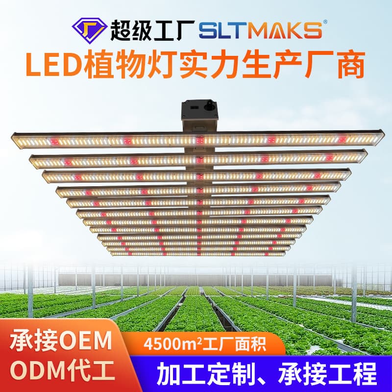 Customized Fill Light Smart Timer Led Grow Light 1000W Plant Light Plant Grow Lights