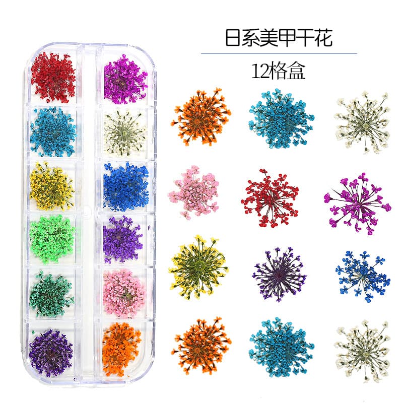 Nails New Japanese Style Dried Flower Nail Art Wholesale DIY Colorful Baby's Breath Lace Real Flower Nail Accessories
