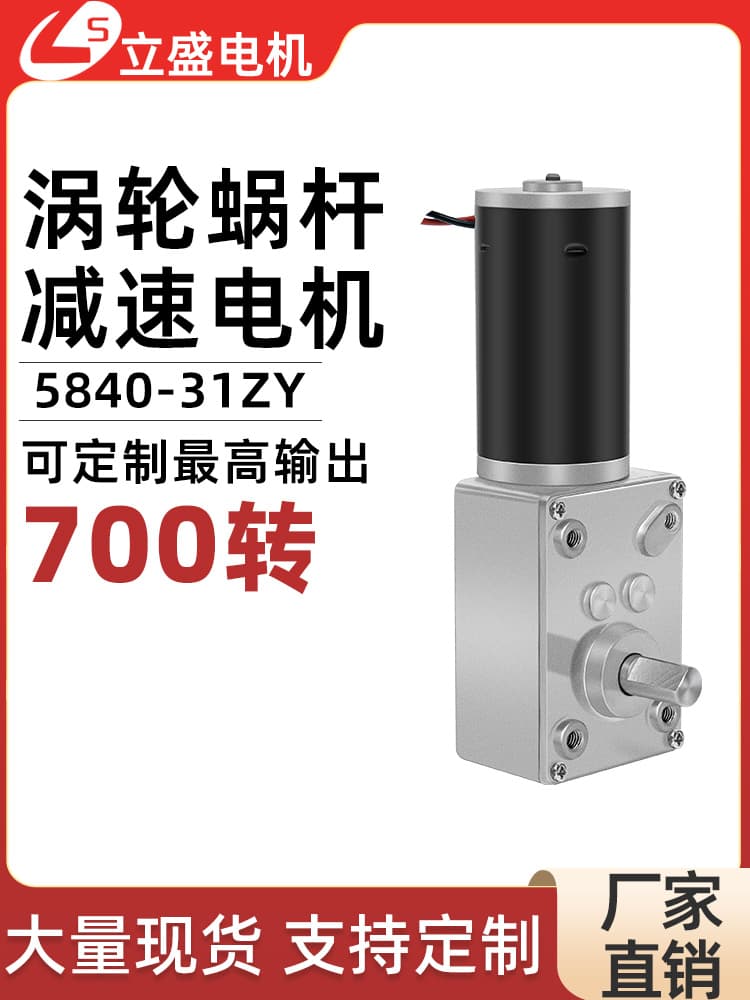 Lisheng 5840-31ZY Micro DC Reduction Motor Worm Gear Self-Locking Speed Control Slow Speed Motor 12V 24V