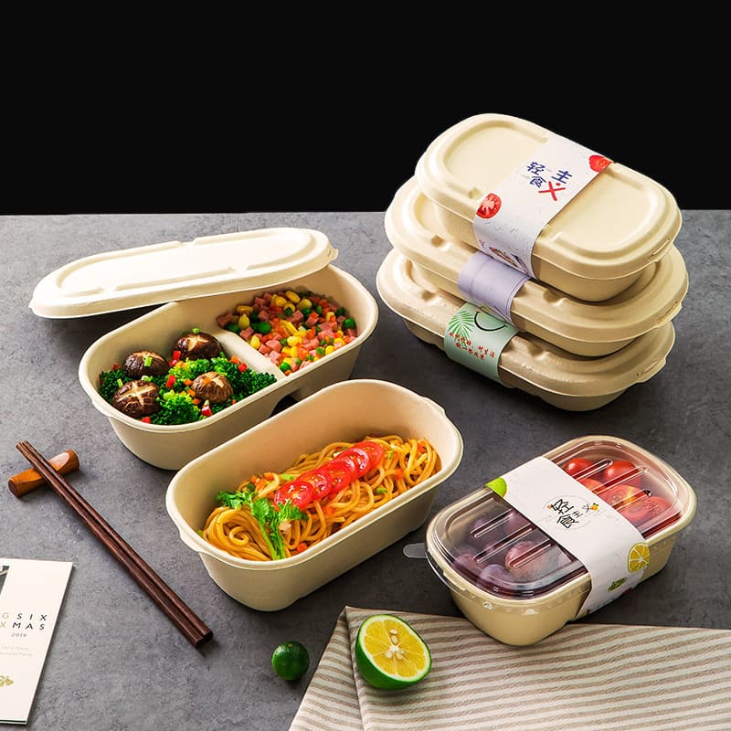 Pulp eco-friendly disposable meal boxes for light meals, fast food, takeout packaging, biodegradable with compartments and lids in rectangular shapes.