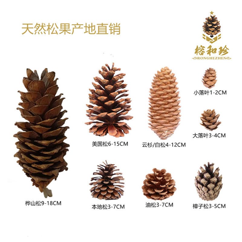 Natural Wooden Real Original Color Pinecones Northeast Plant Pinecones Christmas Tree Ornament Pine Cones