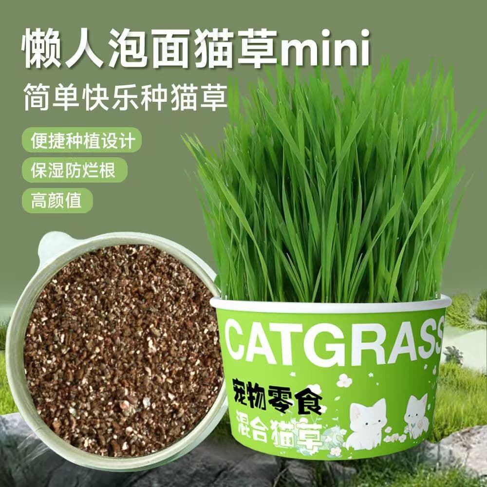 Lazy Cat Grass Hydroponic Cup Hairball Relief Cat Grass Wholesale Cat Grass Planter Easy Grow Cat Grass Cup Potted Plant